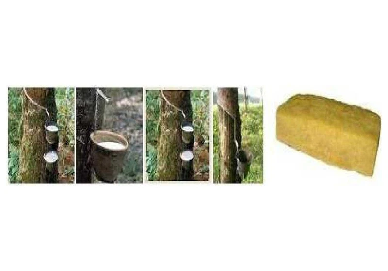 Natural Rubber Blocks (TSR 10 / TSR 20), Ribbed Smoked Sheets (RSS) & Latex