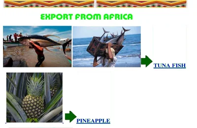 Import from Africa — Complete Commodities & Raw Materials Catalog (PDF)