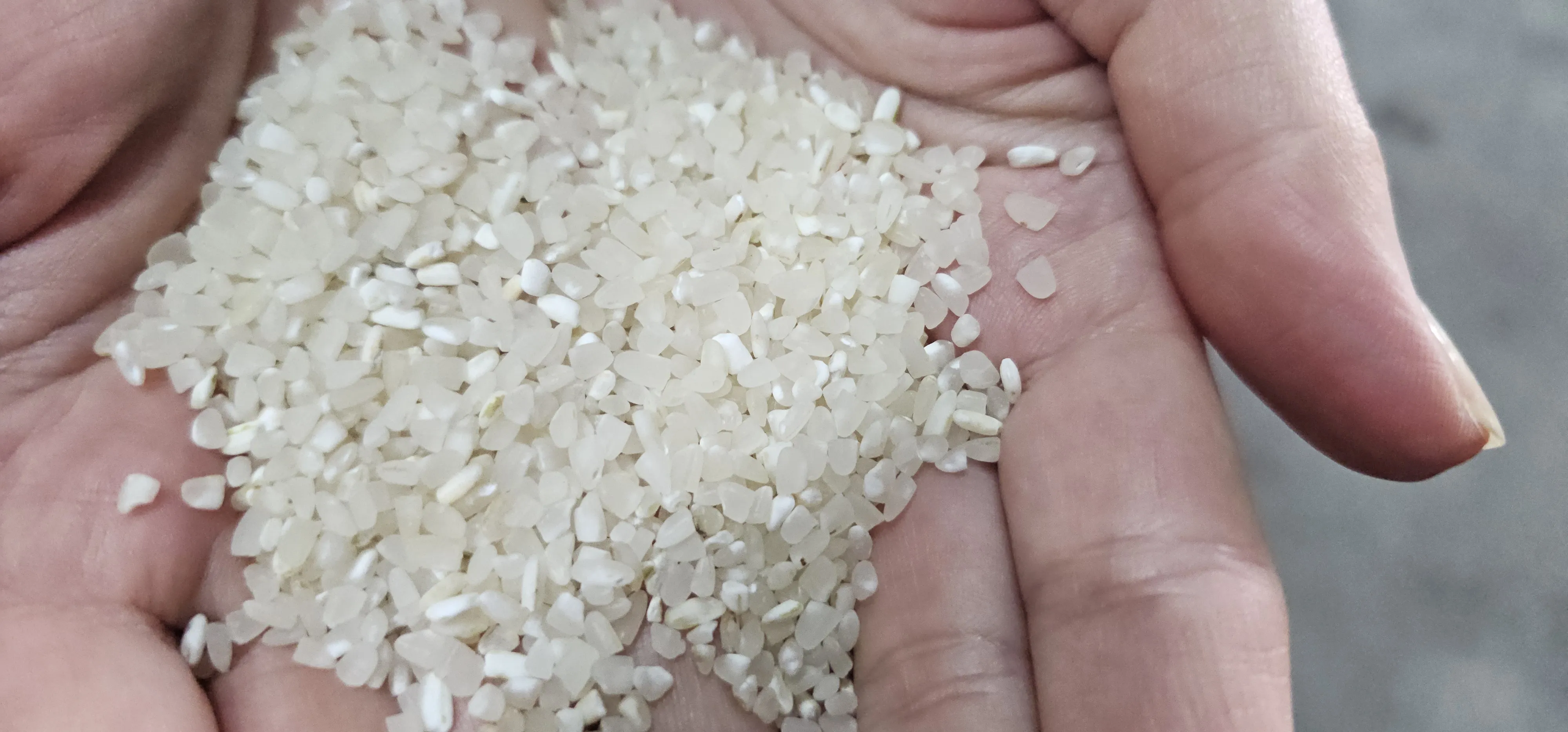 Géneros Alimentares Essenciais & Leguminosas de Origem Turca para Exportação Modelo 46 — Alimentos, Leguminosas e Bens de Grande Consumo | COIDET & ATC