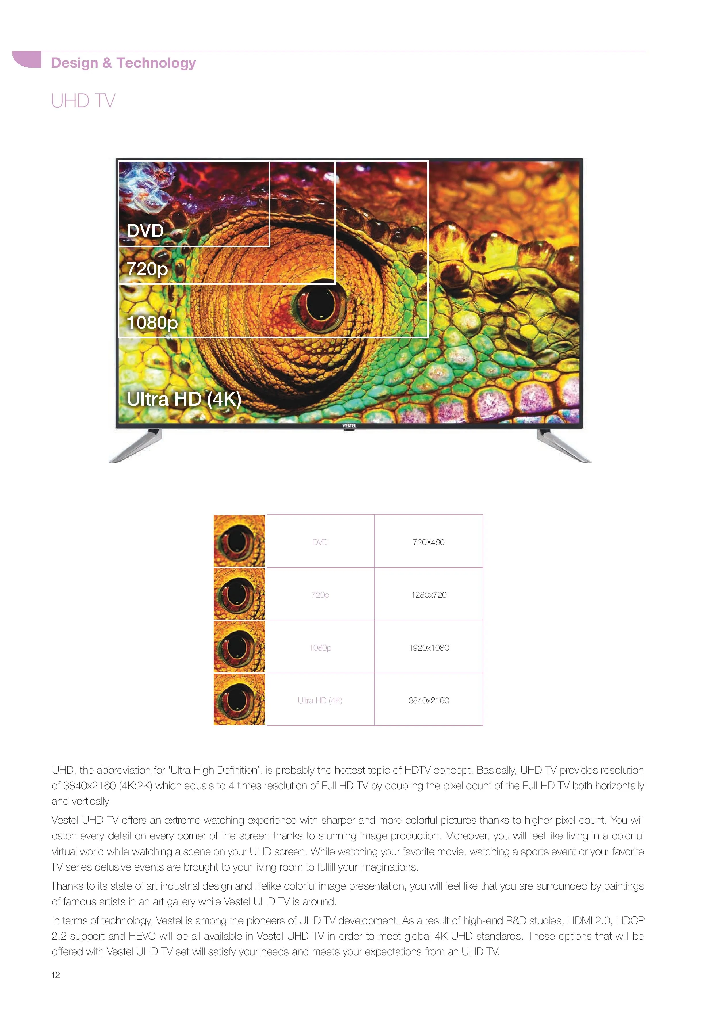 Téléviseur Smart LED Ultra HD 4K — Modèle Export Android TV 65 — Gros Électroménager, Froid & Électronique Grand Public | COIDET & ATC