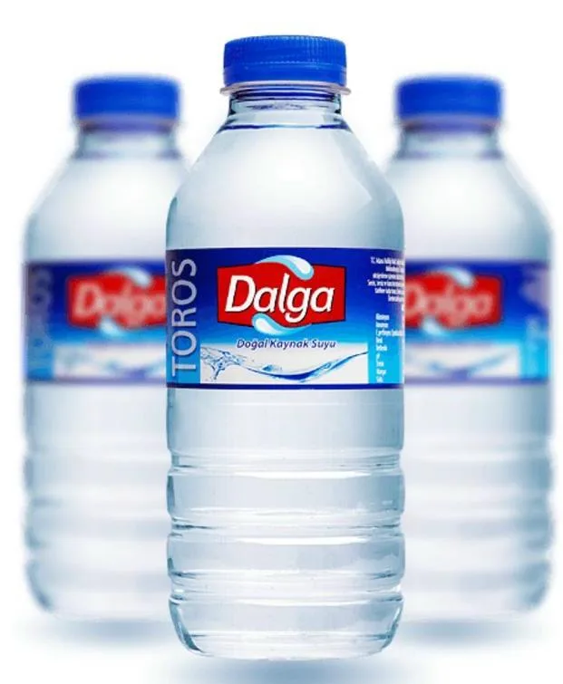 Refrigerante com Gás Frutado & Bebida Energética Locca & Full (250ml) Modelo 1 — Alimentos, Leguminosas e Bens de Grande Consumo | COIDET & ATC