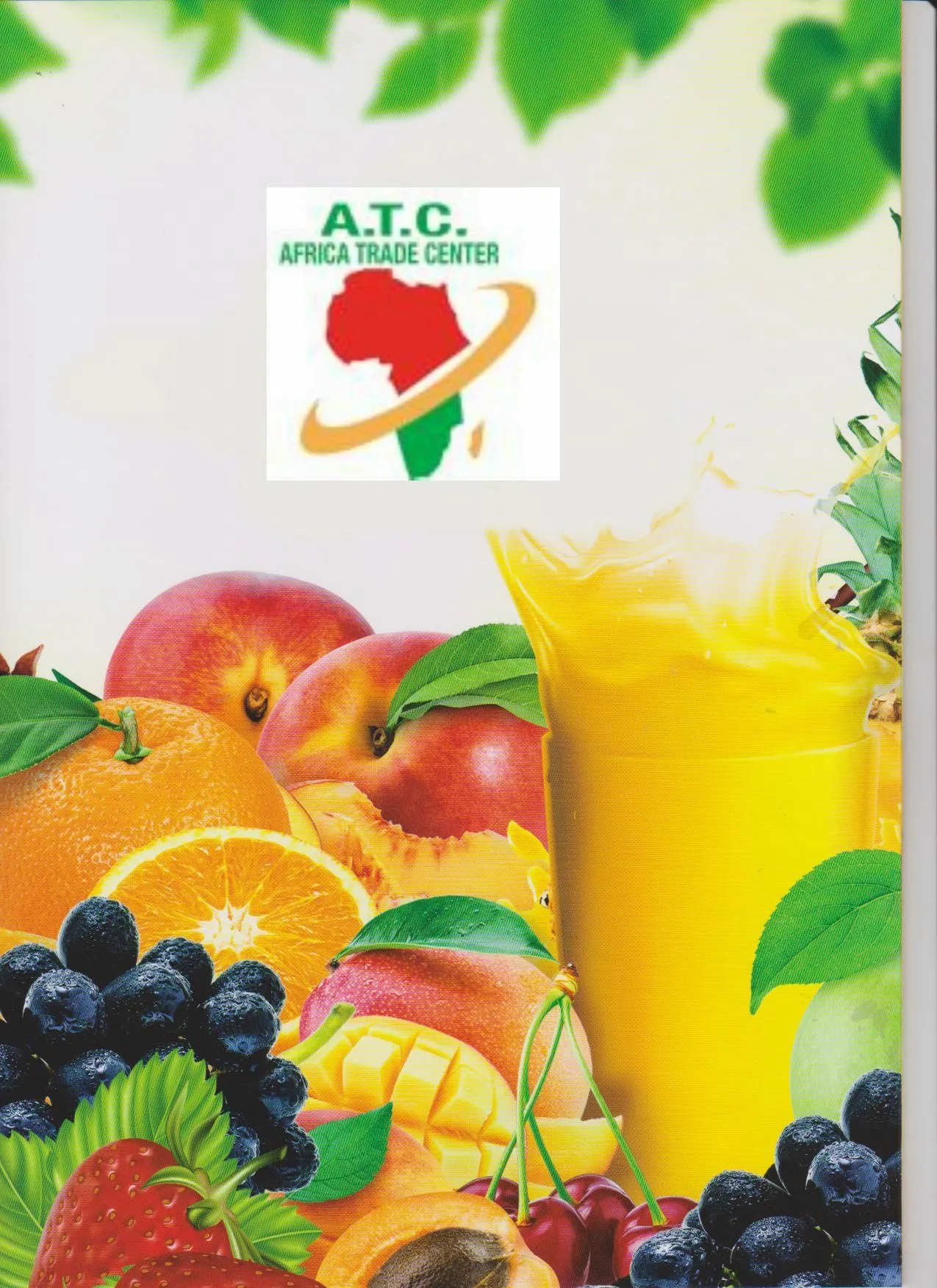 Géneros Alimentares Essenciais & Leguminosas de Origem Turca para Exportação Modelo 39 — Alimentos, Leguminosas e Bens de Grande Consumo | COIDET & ATC