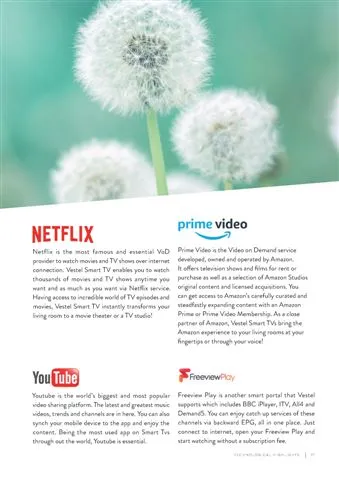 Téléviseur Smart LED Ultra HD 4K — Modèle Export Android TV 102 — Gros Électroménager, Froid & Électronique Grand Public | COIDET & ATC